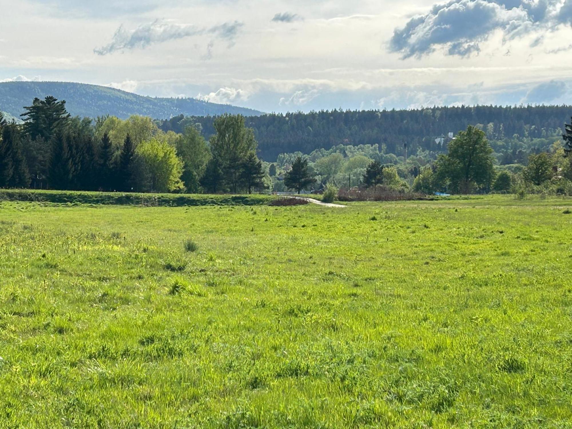 Lesny Park Polanica Szczytna Exterior foto