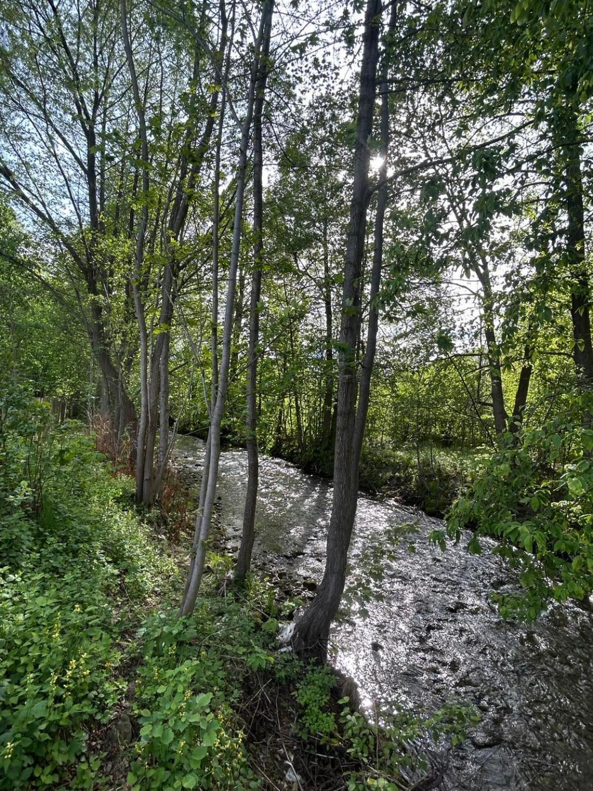 Lesny Park Polanica Szczytna Exterior foto